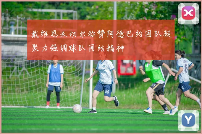 戴维恩米切尔称赞阿德巴约团队凝聚力强调球队团结精神