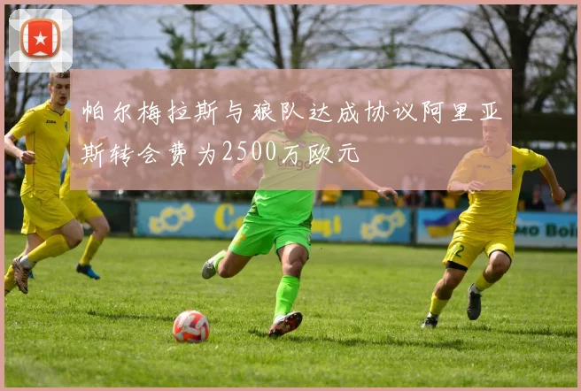 帕尔梅拉斯与狼队达成协议阿里亚斯转会费为2500万欧元