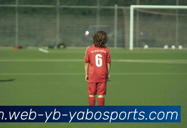 亚博体育发展历程